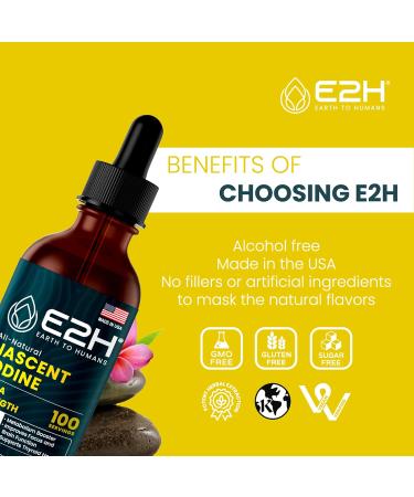 E2H Vegan Liquid Iodine - Thyroid Support and Cognitive Function - Boost Your Metabolism and Energy Levels - Vegan - Non-GMO (2 Bottles) 1 Fl Oz (Pack of 2) - Buy Online on GoSupps.com