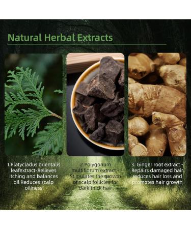 Ginger Plant Extract Shampoo - Hair Loss Prevention Oil Control & Anti-Dandruff - Polygonum Multiflorum - 240ML for Men & Women | International Shipping - Buy Online on GoSupps.com