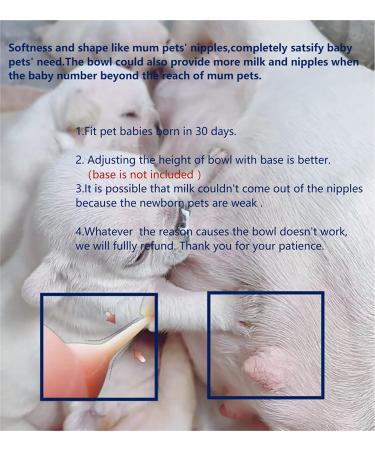 Puppy Milk Feeder with Four 4 Nipples Silicone Puppy Nursing Station Pet Milk Feeder Bowl for Kittens  Puppies  Rabbits Kitten Nipple Puppy Feeder Capacity 200ml 6.76us fl oz Pink - Buy Online on GoSupps.com