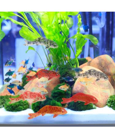 Artificial Floating Fish Decoration - 5pcs Aquarium Model for Terrarium & Landscape Crafts - Buy Online on GoSupps.com