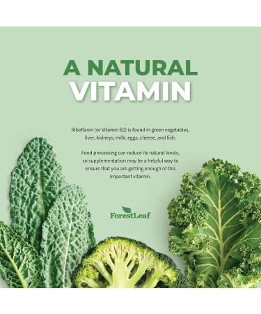 ForestLeaf Riboflavin & Magnesium Migraine Supplement - Riboflavin 400mg for Headache Relief - Ultimate Magnesium Glycinate Bundle with B2 Vitamin 400mg for Headache Migraine Relief Capsules - Buy Online on GoSupps.com