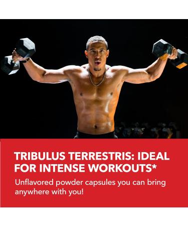 Buy Tribulus Terrestris for Men (95% Saponins) with Maca Root - 1 000 mg Male Performance Support Capsules - 90 Count - International Shipping Available - Buy Online on GoSupps.com