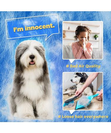 Pet Hair Remover Glove - Deshedding & Grooming Brush for Dogs & Cats - Five Finger Design Massage Mitt - Long & Short Fur - 1 Pack (Blue, Right-Hand) - Buy Online on GoSupps.com
