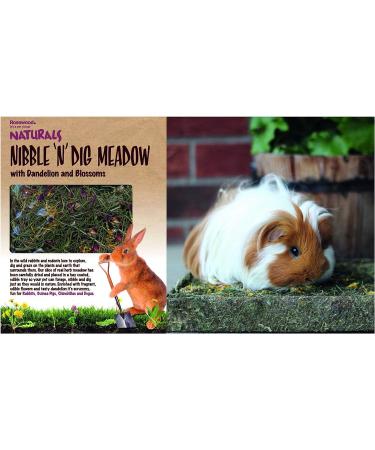 Rosewood Naturals Nibble 'n' Dig Meadow Treats 200g | Small Animal Rabbit Treats - Buy Online on GoSupps.com