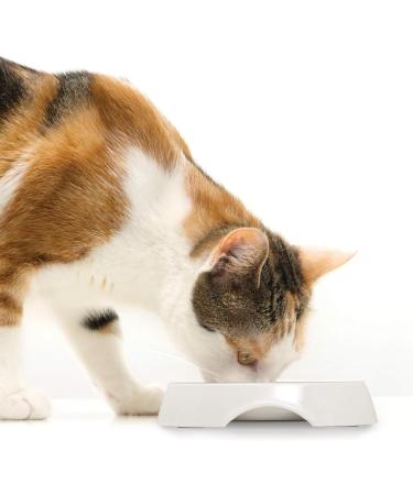 Catit Shallow Double Food Bowl - White | Sleek & Modern Design - Buy Online on GoSupps.com