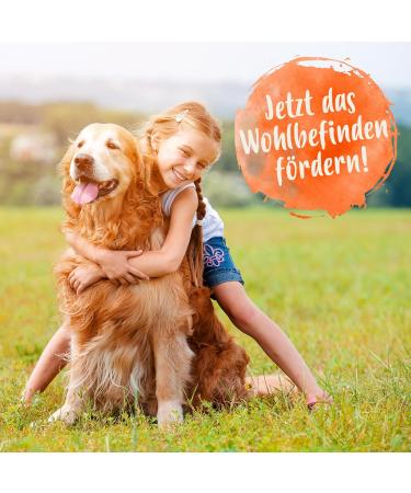Ida Plus Probiotic Snack for Dogs - Intestinal Renovation & Digestive Support - 440g Prebiotic Formula for Healthy Gut Flora - Buy Online on GoSupps.com
