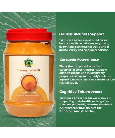Buddha Spices Inc. Turmeric Powder - 1200g (42 oz) - TURMRIC - Convenient and Long-Lasting - Pure Indian Origin Turmeric Powder -42oz - Buy Online on GoSupps.com