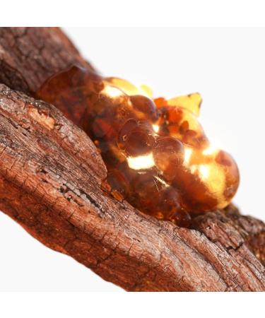 Tommy Hilfiger Tommy Now Eau de Toilette Spray for Men 3.4 oz - Buy Online on GoSupps.com