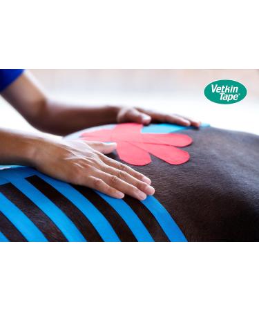 Vetkin Vetkintape Kinesiology Tape for Animals - 6cm x 5m | Strong Latex-Free Kinesiotape for Horses & Dogs | T V-Certified | 25% Stronger Adhesive - Buy Now! - Buy Online on GoSupps.com