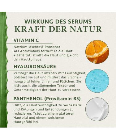 Vitamin C Serum 100ml - Hyaluron & Bio Aloe Vera - Vegan Facial Care for Women - Dark Circle & Pigment Spot Remover | Satin Nature - Buy Online on GoSupps.com