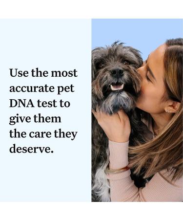 Wisdom Panel Essential Dog DNA Test Kit: Accurate Breed ID, Ancestry & Health | 25+ Conditions | Traits | Relatives - 1 Pack - Buy Online on GoSupps.com
