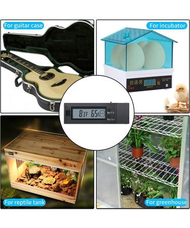 Briidea Digital Hygrometer and Thermometer - Monitor Humidity and Temperature for Humidor, Guitar, Ukulele, Mason Jar - Buy Online on GoSupps.com