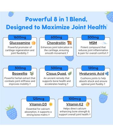 Flexy Joints Complete Joint Support Powder - Glucosamine Chondroitin MSM Boswellia D3 K2 for Mobility & Inflammation Relief - Blue Raspberry Flavor | 60 Servings - Buy Online on GoSupps.com