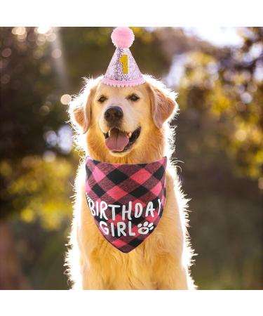 Amaxiu Dog Birthday Party Set - Bling Birthday Hat & Plaid Bandana for Small Medium & Large Dogs - Pink - Buy Online on GoSupps.com