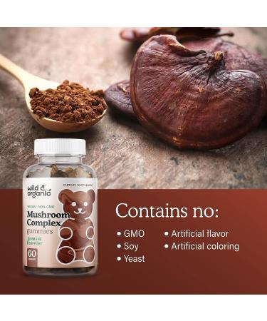 Wild Mushroom Gummies - Brain Booster & Immune Support Supplement - 60 Chews - Buy Online on GoSupps.com