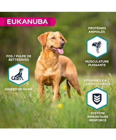 EUKANUBA Grain Free Dog Food Adult Small and Medium Breeds Rich in Fish 12kg - Buy Online on GoSupps.com
