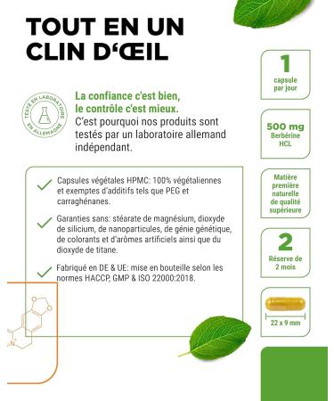 Berberine HCL Extract - 120 Capsules 500mg - Natural Berberine + Black Pepper Extract - Lab Tested (Purity & Active Ingredient Content) - High Dose - Vegan - Buy Online on GoSupps.com