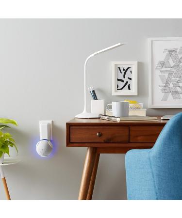 Amazon Outlet Hanger White for Echo Dot 4 (4th Gen) - Buy Online on GoSupps.com
