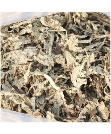 Buy BANGHA Moxa Rolls - Handmade Pure Moxa Sticks for Home Use | Premium Wormwood Moxa Sticks - International Shipping Available - Buy Online on GoSupps.com