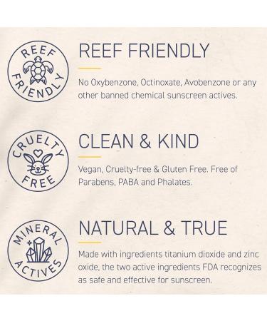 Brush On Block Full Face Sun Protection Kit - Translucent Mineral Powder Sunscreen & SPF 30 Lip Oil | Reef Friendly & FSA HSA Eligible - Buy Online on GoSupps.com
