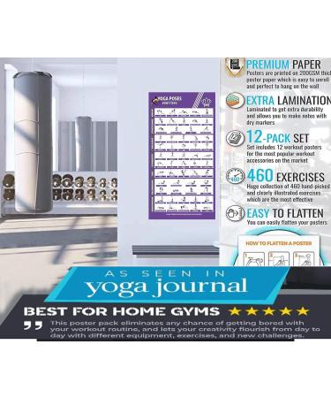 Optimal Home Fitness Studio: 12 Laminated Exercise Posters for Men & Women - Yoga Dumbbells & More - Buy Online on GoSupps.com