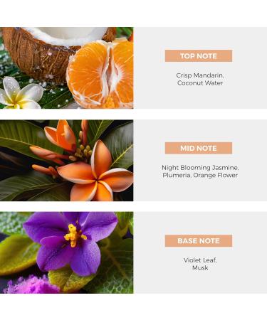 St. Vincent And The Grenadines Night Blooming Jasmine EDP Perfume Spray - 100 ml (3.4 oz) - Buy Online on GoSupps.com