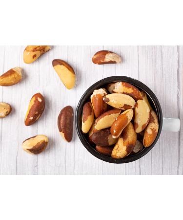 1lb Unsalted Dry Roasted Brazil Nuts - Oven Roasted, Shelled, Vegan & Kosher - Bulk Nut Snack Rich in Protein & Essential Fatty Acids - Buy Online on GoSupps.com