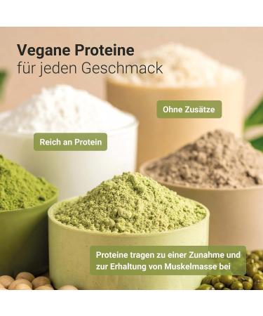 Raab Vitalfood BIO Protein Shake vert 80 g (1) - Buy Online on GoSupps.com