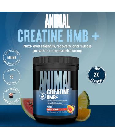 Animal Creatine HMB Powder 5g Creatine + 3g myHMB with Electrolytes for Lean Muscle Recovery & Daily Energy Power Punch Flavor 30 Servings Power Punch 12.06 Ounce (Pack of 1) - Buy Online on GoSupps.com