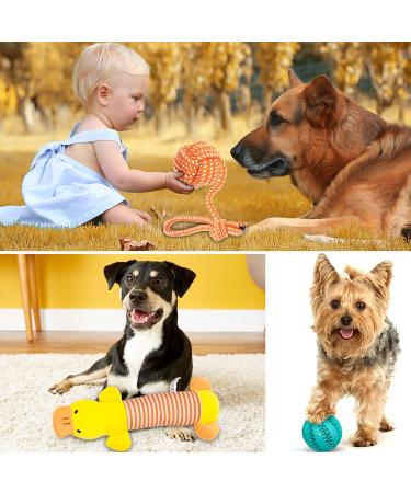 Mulevip 20 PCs Dog Toy Set - Interactive Rope Toys & Chew Balls for All Dog Sizes | Durable & Engaging Pet Play - Buy Online on GoSupps.com