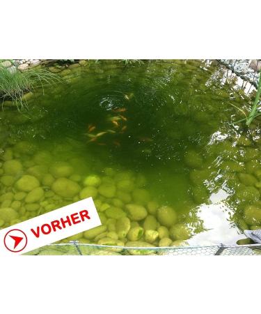 ALGENKILLER Protect - Premium Water Care for Garden & Swimming Ponds (1.5 kg for up to 100 000 liters) - International Shipping Available - Buy Online on GoSupps.com