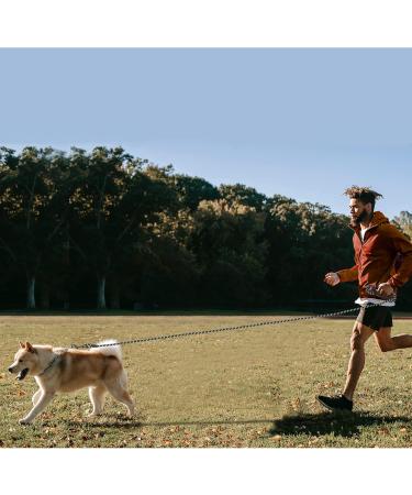 Iokheira 15m Dog Drag Line - Training Leash for All Dog Sizes with 360 Carabiner & Reflectors - Buy Online on GoSupps.com
