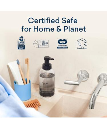 BLUELAND Hand Soap Starter Set 1 Refillable Glass Foaming Hand Soap Dispenser in Slate with 4 Refill Tablets Variety Scents 4 x 9 Fl oz Slate Starter Set | Variety - Buy Online on GoSupps.com