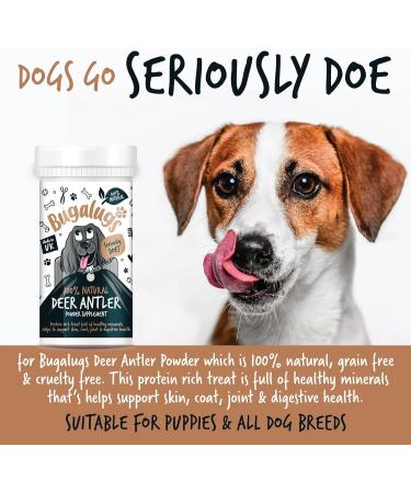 Bugalugs Deer antlers Supplement dog food toppers Powder for Dogs & puppy high in protein dog food fibre vitamins & minerals. 100% Natural reindeer antlers dog supplements use with licky mat (70g) 70 g (Pack of 1) - Buy Online on GoSupps.com