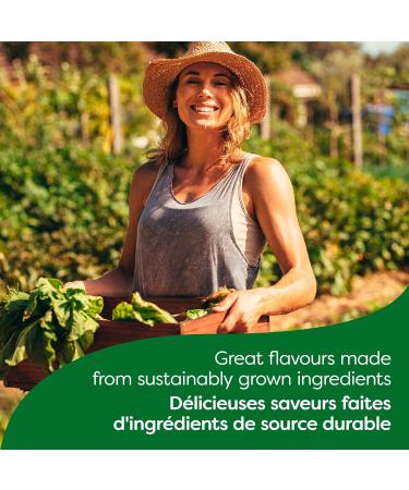 Knorr Recipe Soup Mix For Burgers Dips And Meat Loaves Onion No Artificial Flavour 56 g Pack of 24 - Buy Online on GoSupps.com
