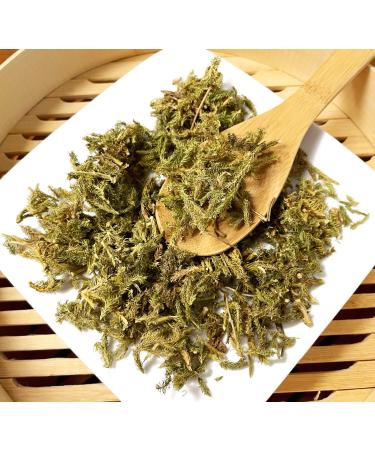 TCM Herbs USA / Shen Jin Cao / Herba Lycopodii /Ground Pine / Common Clubmoss (8 oz)