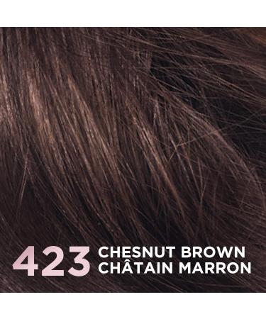 L Or al Paris Casting Natural Gloss Hair Color 423 Chestnut Brown High Shine Hair Gloss Hair Dye 1 EA 423 Chesnut Brown - Buy Online on GoSupps.com
