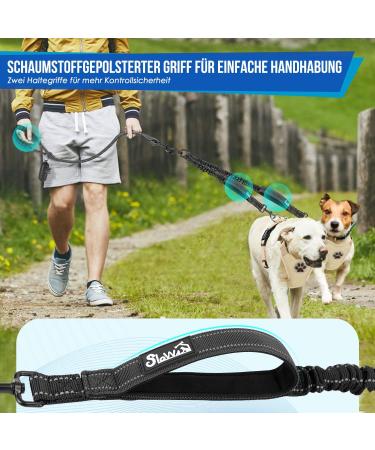 Eyein Double Linen Dog Leash for Large Dogs - Reflective Flexible & Padded Handles | 11-68kg (Black) - Buy Online on GoSupps.com