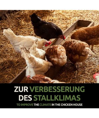 Greenpet Kiesovet Kieselgur for Chickens 4kg | Organic Diatomaceous Soil | Ideal for Poultry Farms - Buy Online on GoSupps.com