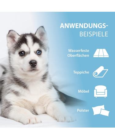 Arka Pipi - Weg Dog 750ml | Effective Stain & Odor Remover for Dog Urine Feces Vomit & Saliva on Carpets & Cushions - International Shipping - Buy Online on GoSupps.com