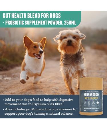Herbal Dog Co Gut Health Probiotic Blend for Dogs 250ml - Helps Digestion & Upset Stomach - Food Supplement for Dogs & Puppies - All-Natural Vegan Made in UK Gut Health 250 ml (Pack of 1) - Buy Online on GoSupps.com