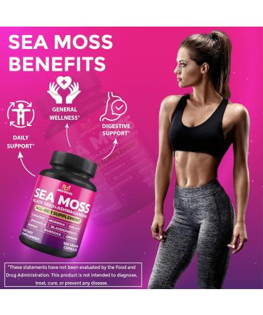 BMVINVOL Sea Moss Black Seed Shilajit Ashwagandha + Bladderwrack Ginger Moringa Turmeric Burdock Ginseng Rhodiola Rosea - 100 Capsules - Buy Online on GoSupps.com