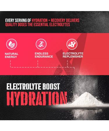 Apollon Nutrition Hydration Electrolytes Advanced Hydration & Replenishment Drink | Electrolytes Minerals Coconut Water Powder | Daily Wellness | 30 Servings (30 Serving White Grape) White Grape 8.5 Ounce (Pack of 1) - Buy Online on GoSupps.com