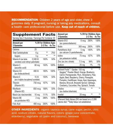 Nature's Way Alive! Children's Premium Gummy Multivitamin - Gluten Free - 90 Gummies, 90 Count - Pack of 1 - Buy Online on GoSupps.com