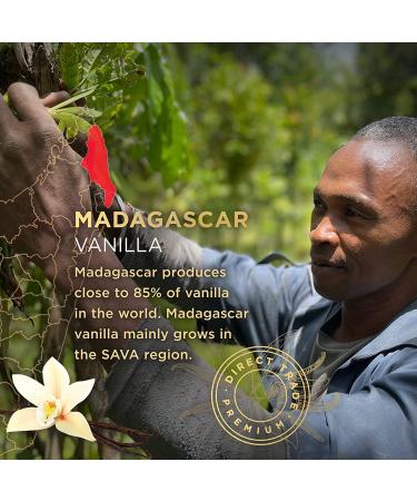 SAVA Madagascar Vanilla Beans  Bourbon Gourmet Vanilla Beans from Madagascar w/Rich  Deep Colored Vanilla Pods  Cooking & Baking Supplies (10 Count) 10 Beans - Buy Online on GoSupps.com