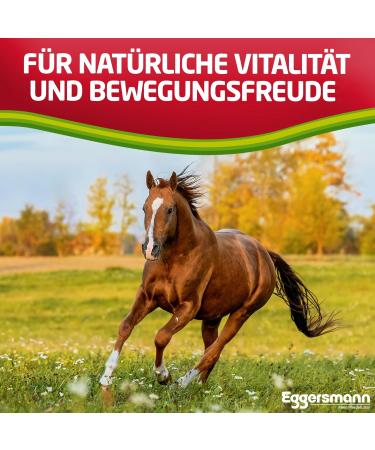 Buy EGGERSMANN My Horse Feed Professional Joint Active 1 kg - Supplementary Feed for Tendons & Joints - Supports Natural Vitality & Joy of Movement for Horses & Ponies - Buy Online on GoSupps.com