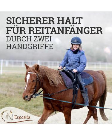 Esposita Riding Strap with Leather Handles - Versatile Lunging & Vaulting Belt for Children & Riders - WB / Full Uni Schwarz - Buy Online on GoSupps.com