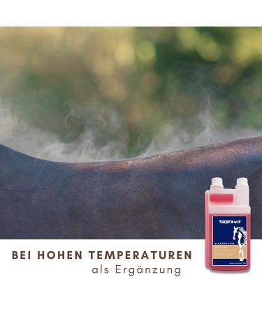 Supravit Electrolytes for Horses | 1000ml Dosing Bottle | Supports Hydration & Recovery from Sweating Diarrhea & Electrolyte Loss - Shop Internationally - Buy Online on GoSupps.com