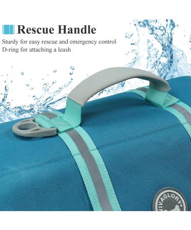 Buy Vivaglory Ripstop Dog Rescue Vest for Small/Medium Dogs - Enhanced Buoyancy & Visibility | Turquoise XS (35-43cm) Ideal for Boating Adventures - Buy Online on GoSupps.com
