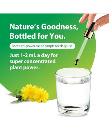 Rainbow Light Dandelion Root Extract Supplement | 2 Fl Oz | Super Concentrated | Alcohol Free | Non-GMO and Gluten Free - Buy Online on GoSupps.com